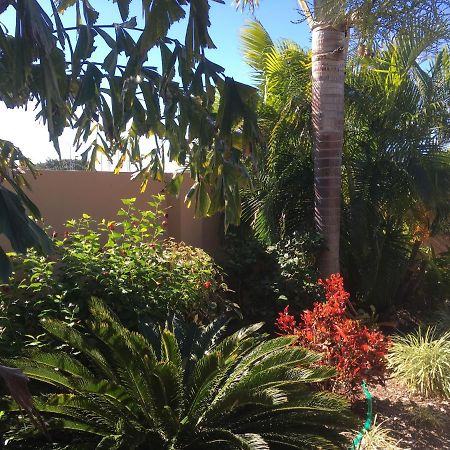 بوين Bluewater Harbour Motel المظهر الخارجي الصورة